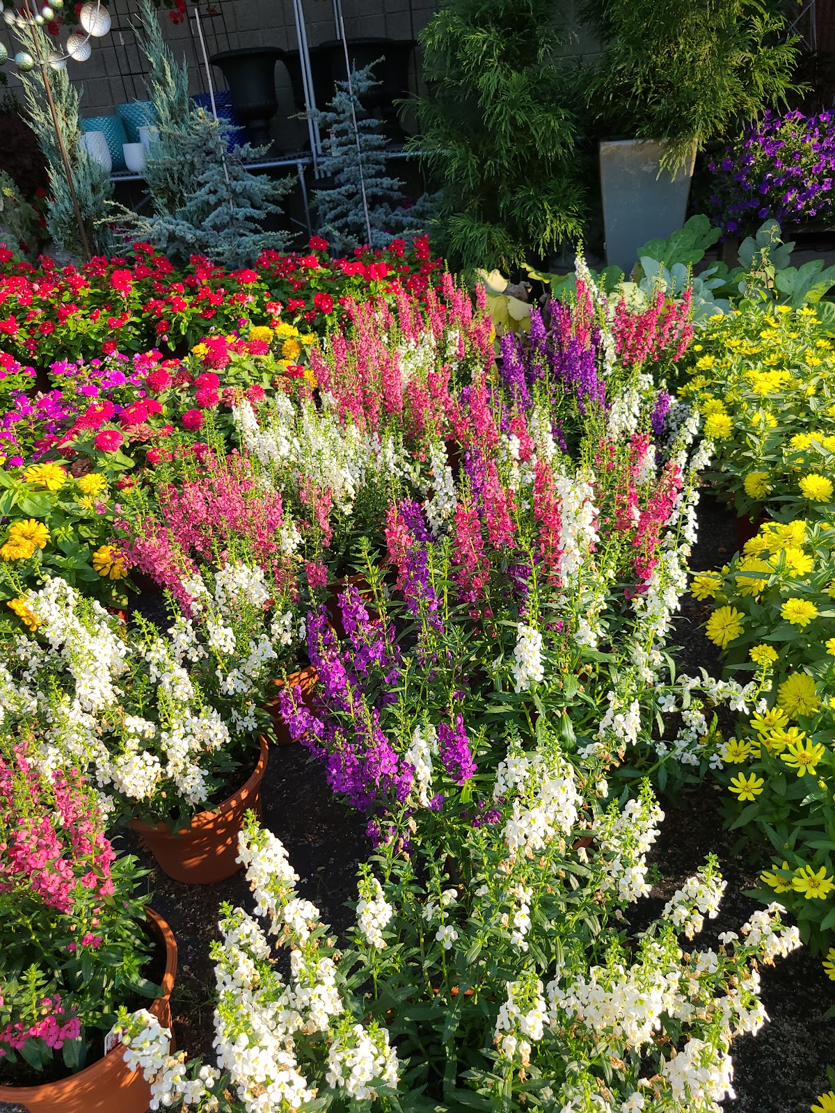 Co-Op Home Lawn & Garden Center