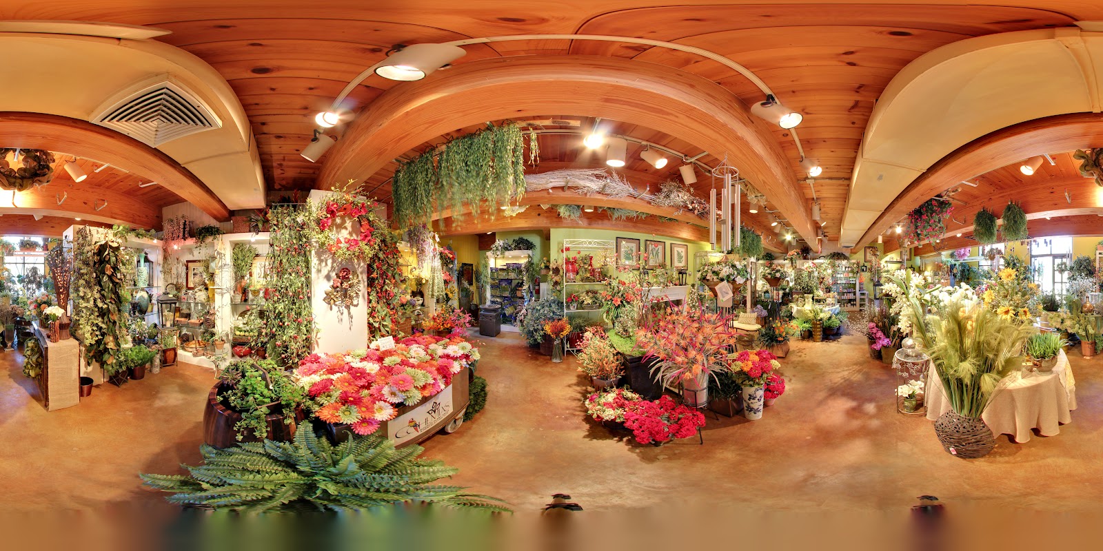 Cohlmia's the Plant Place