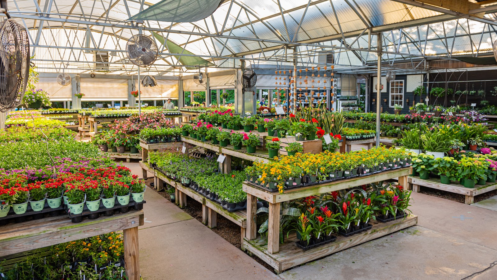 Collier's Nursery