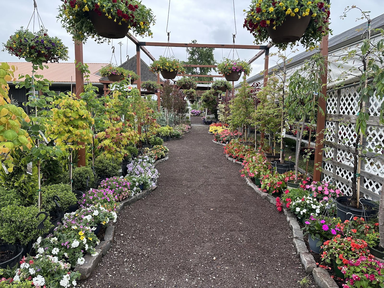 Colonial Classics Landscape & Nursery