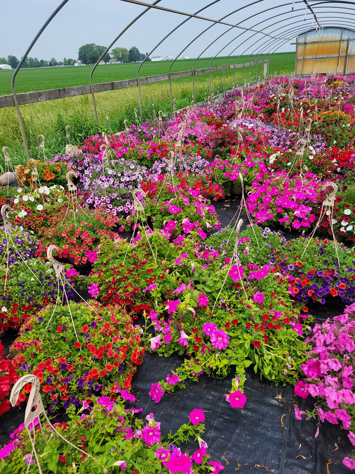Connie's Country Greenhouse