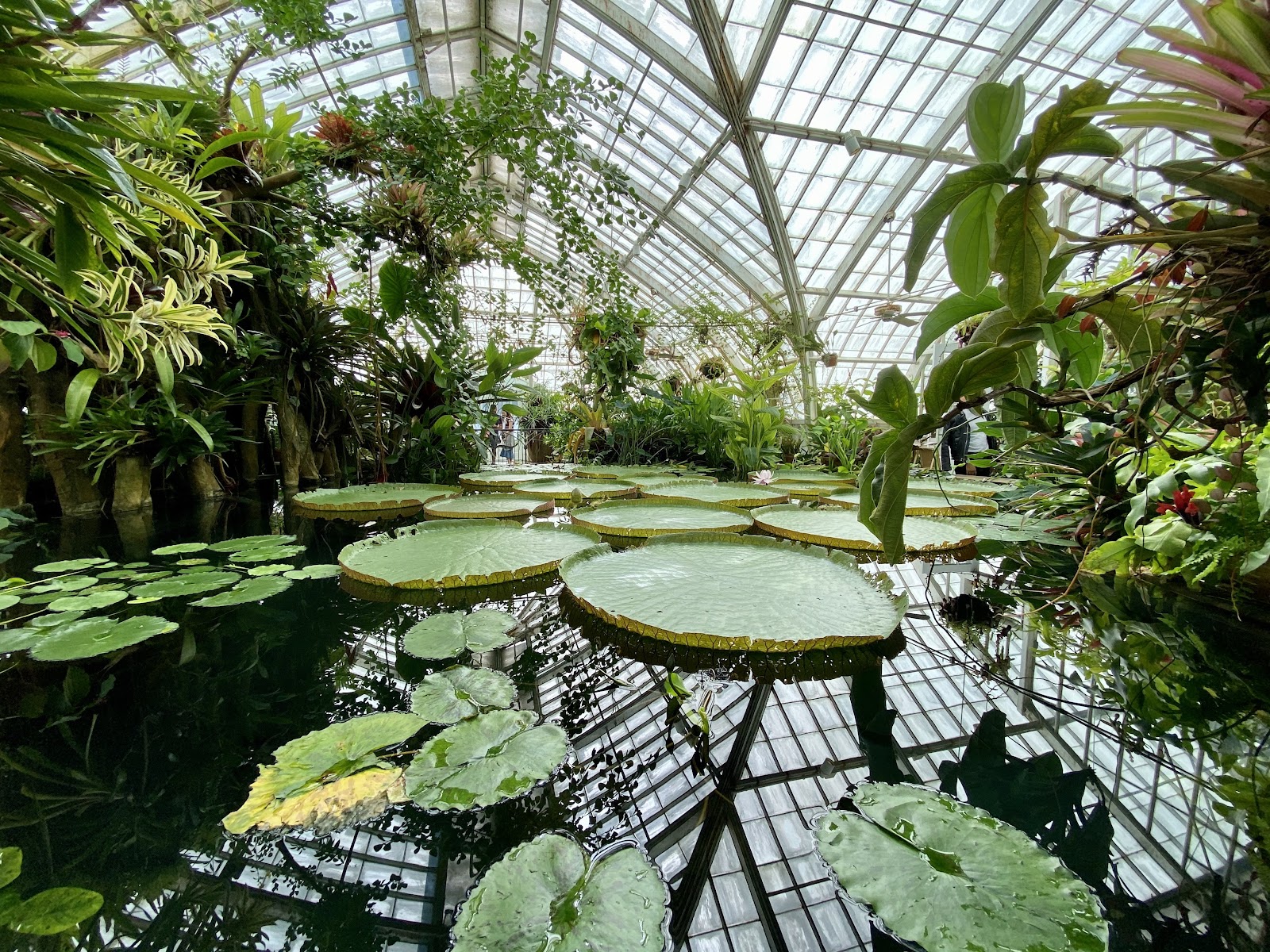 Conservatory of Flowers
