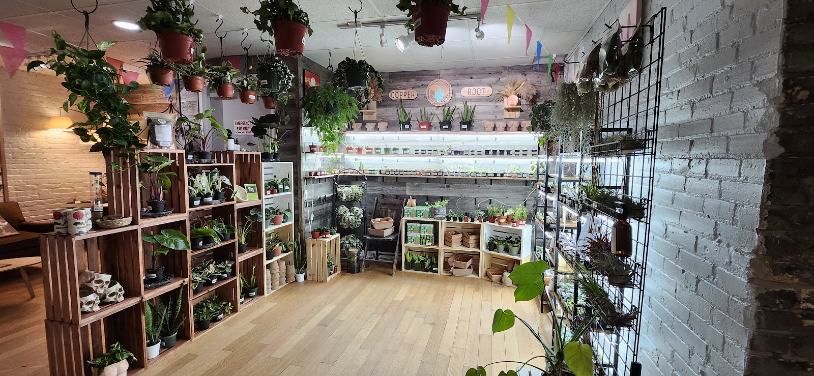 Copper Root Nursery