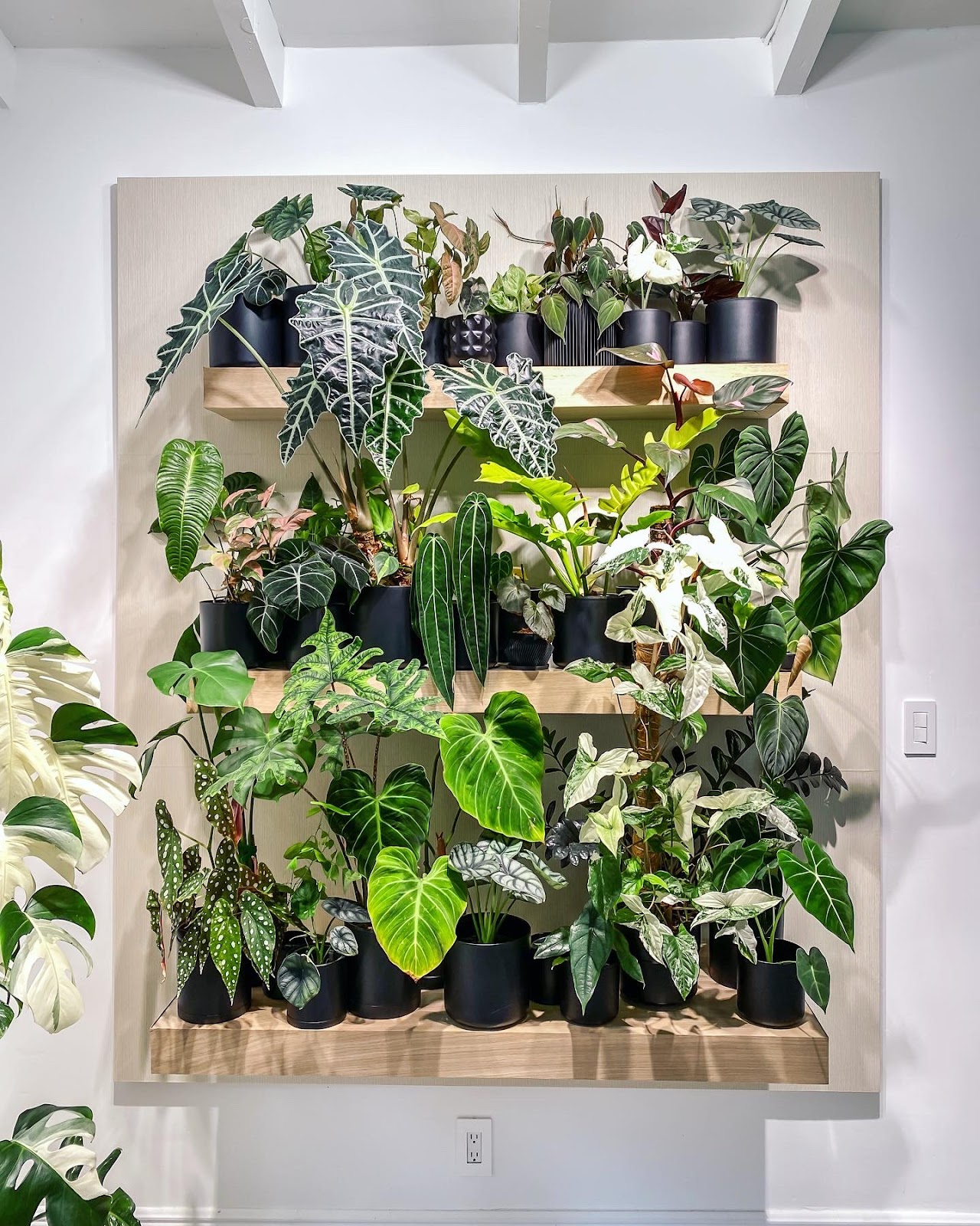 Cosmic Gardens Hydroponic & Garden Supply
