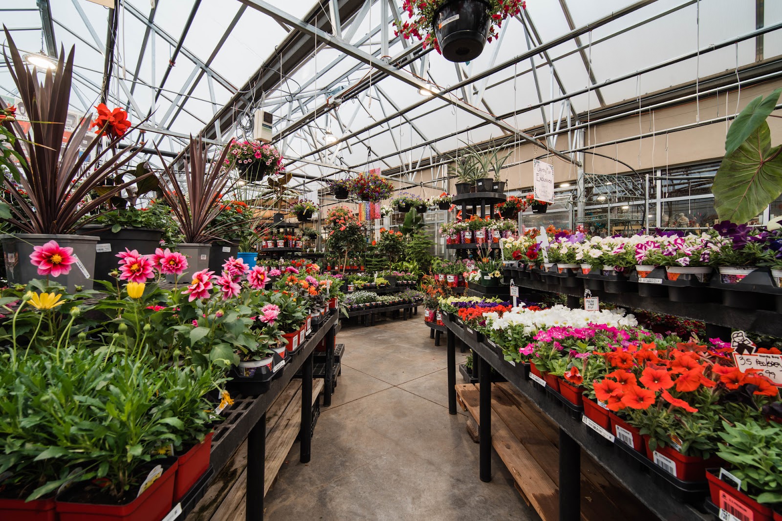 Country Fair Garden Center