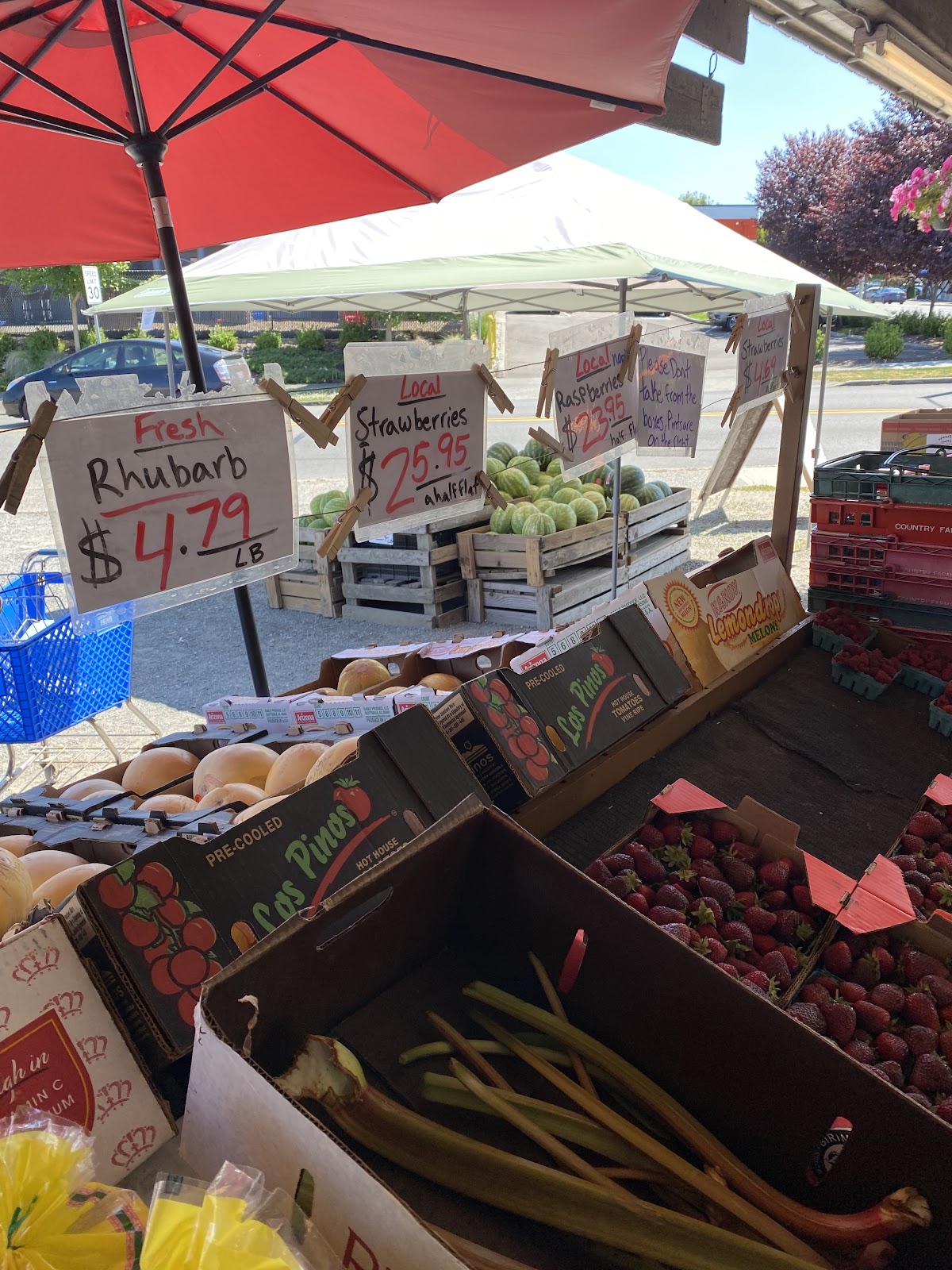 Country Farms Everett