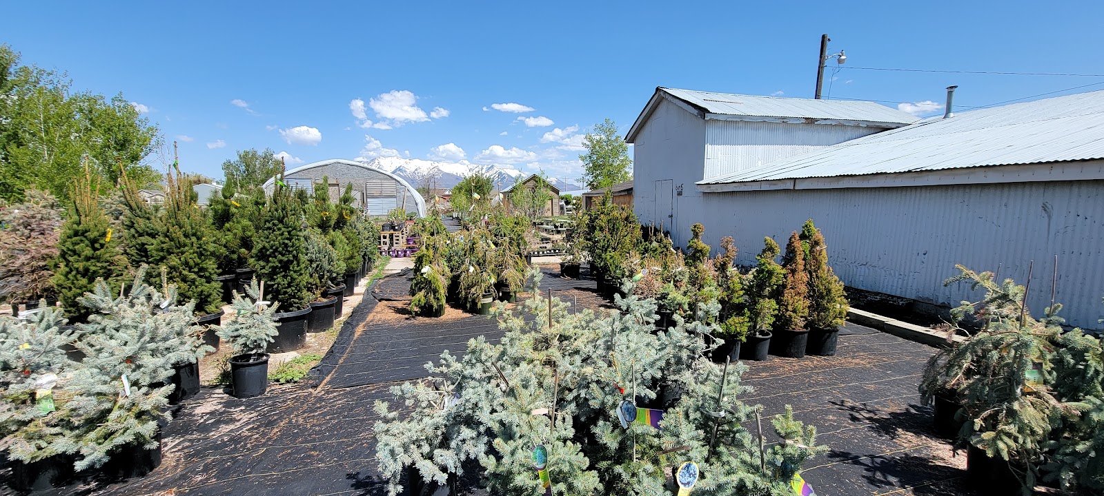 Country Gardens Nursery