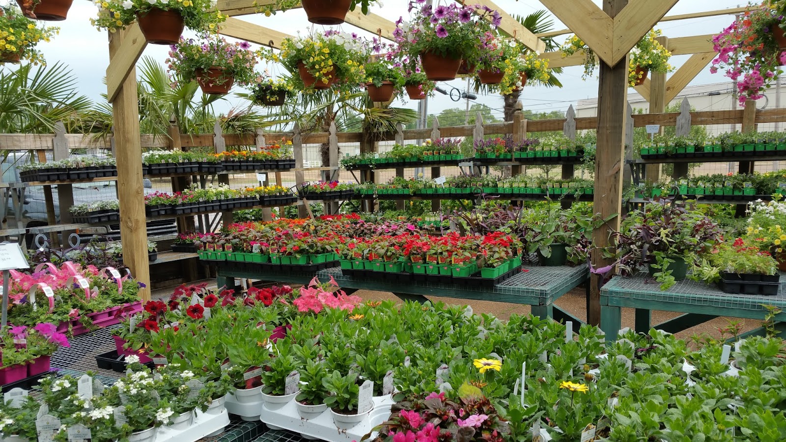 Country Gardens