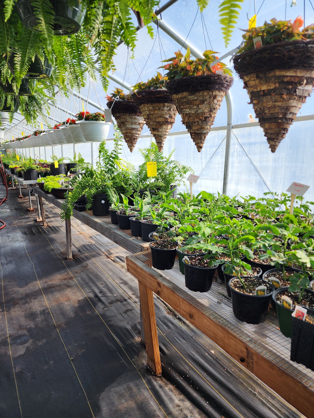 Country Market & Greenhouse