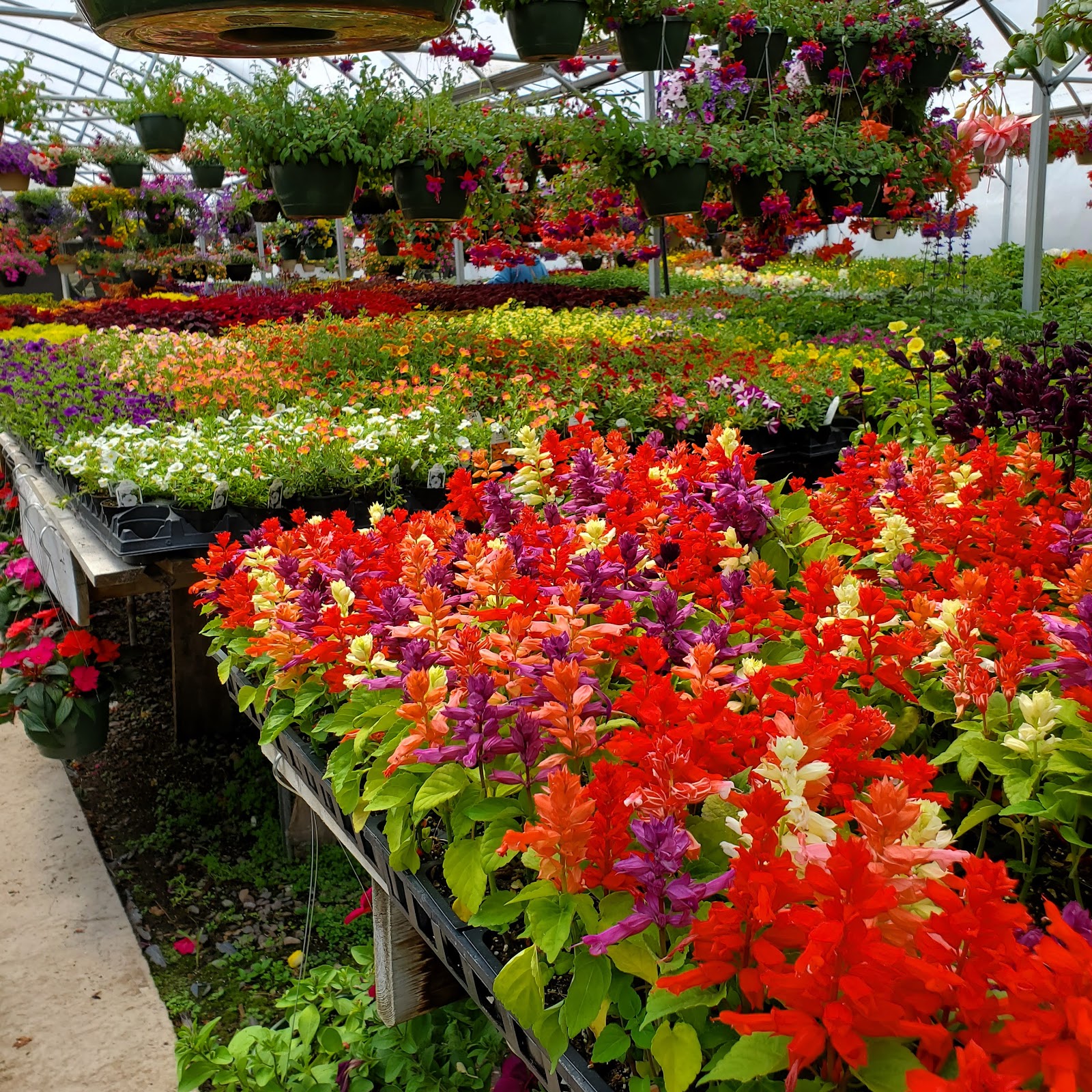 Country View Greenhouse