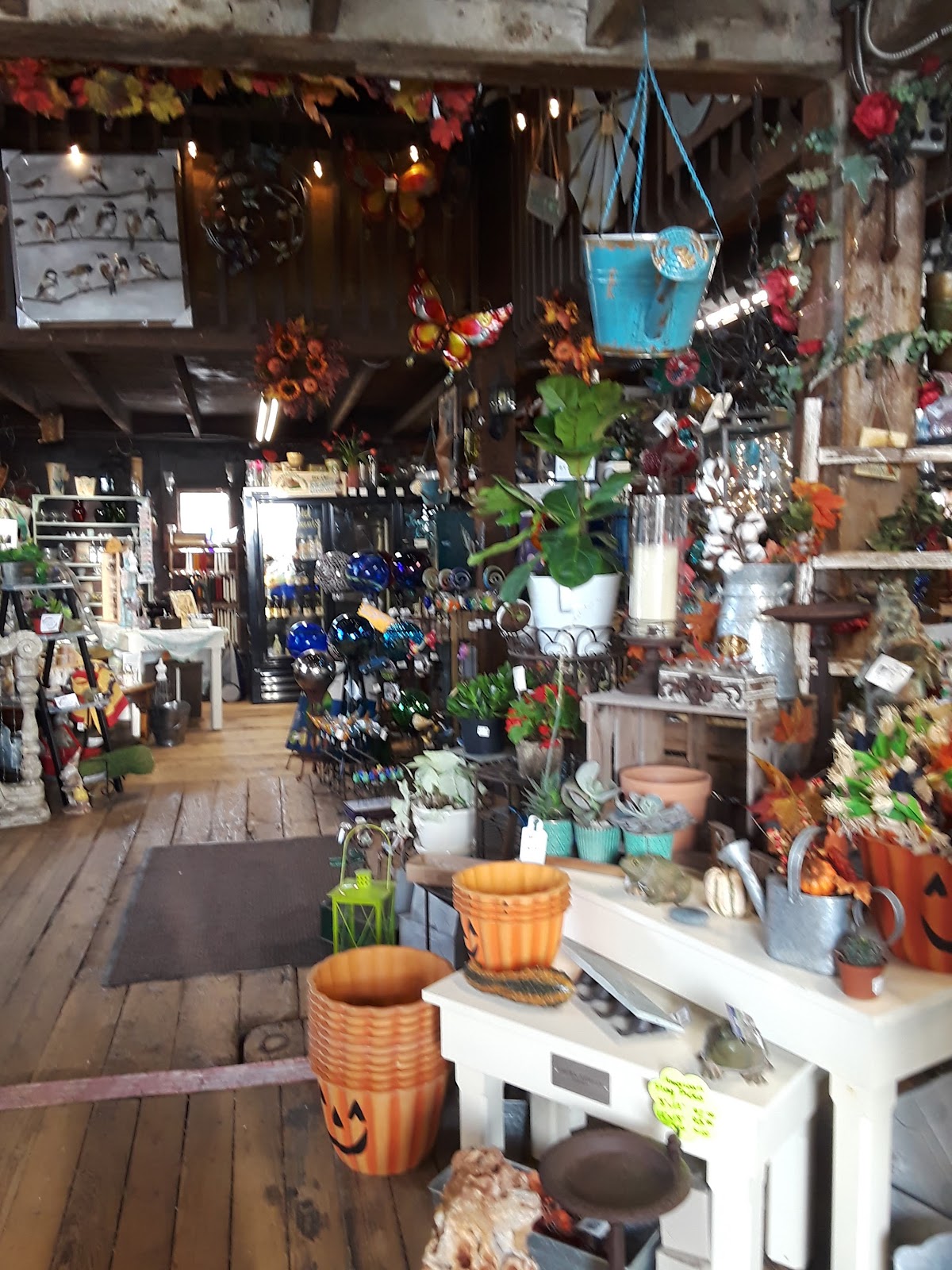 Countrybrook Farms