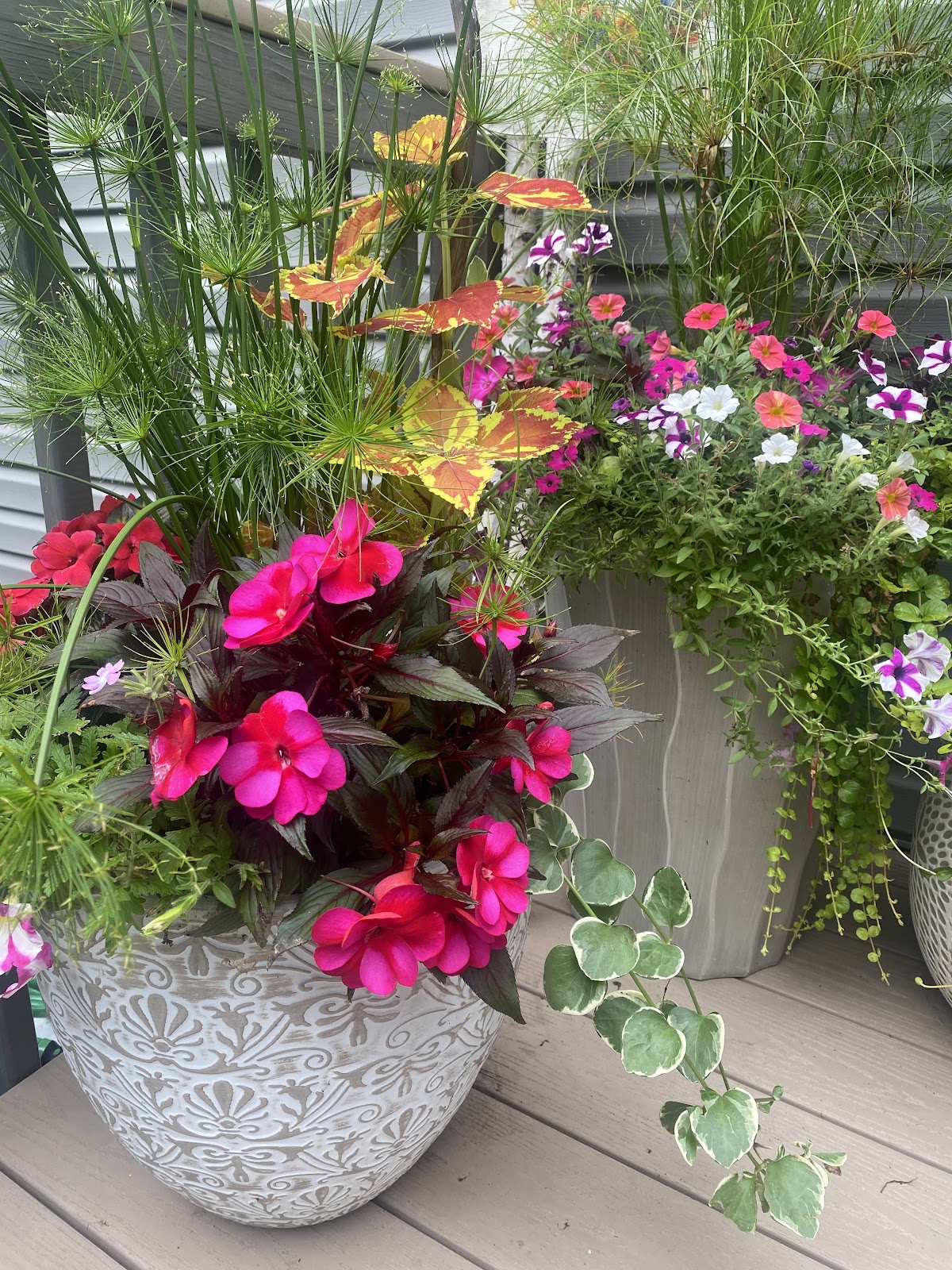 Countryside Floral And Greenhouses