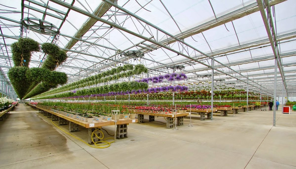 Countryside Greenhouse