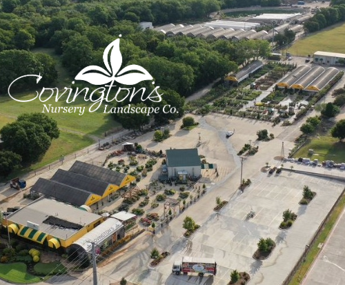 Covington's Nursery and Landscape