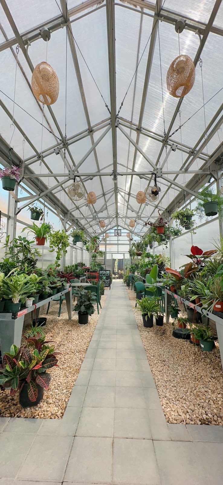 Creature's Plants & Coffee