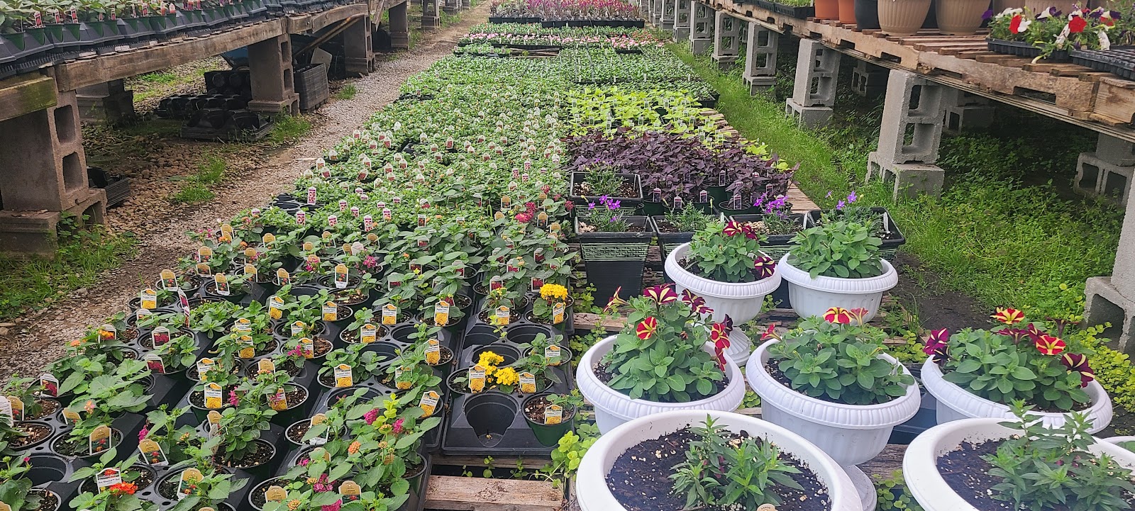 Creek Ridge Greenhouses Inc