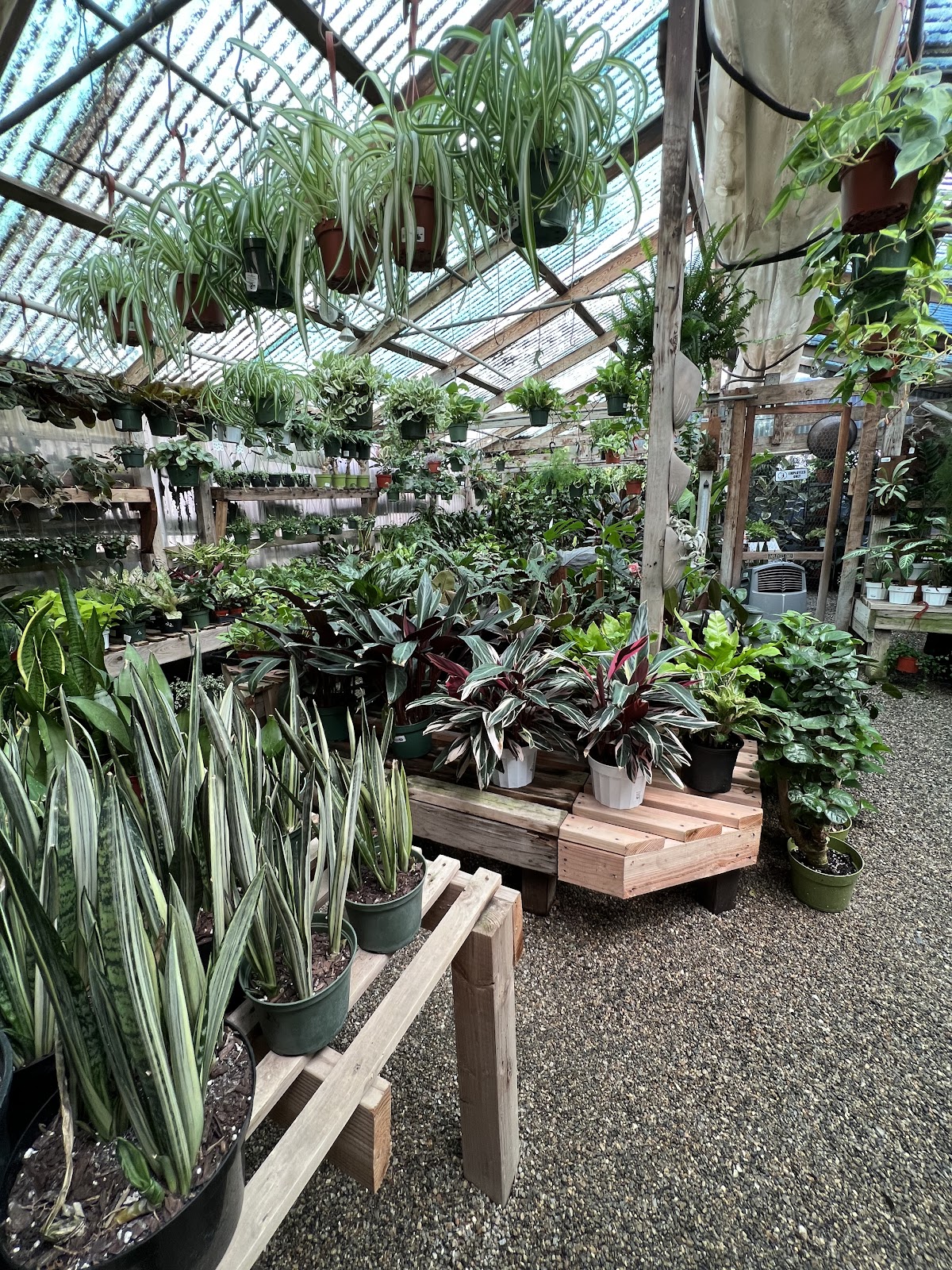 Cricklewood Secret Garden