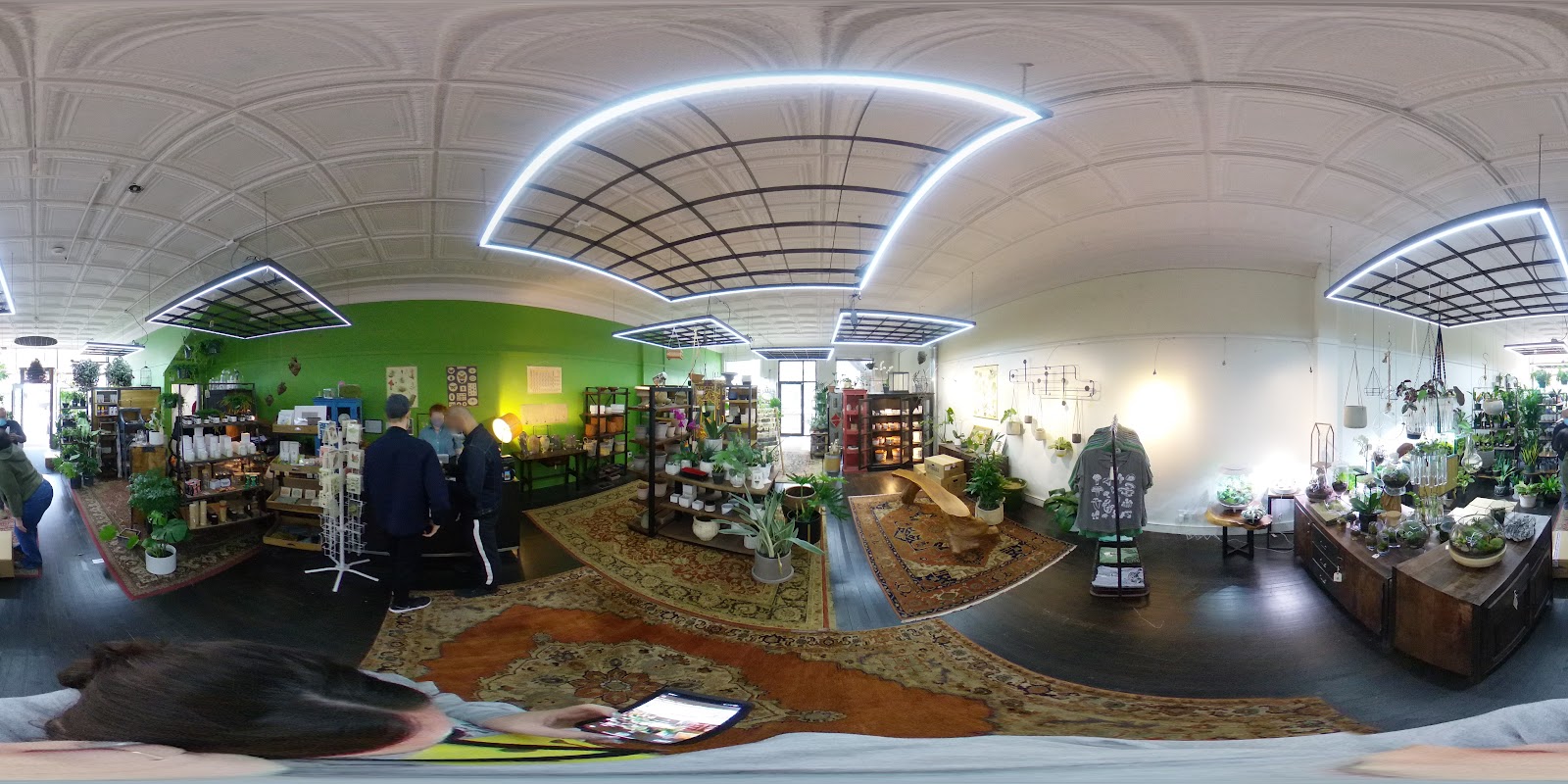 Cultivate Urban Rainforest & Gallery