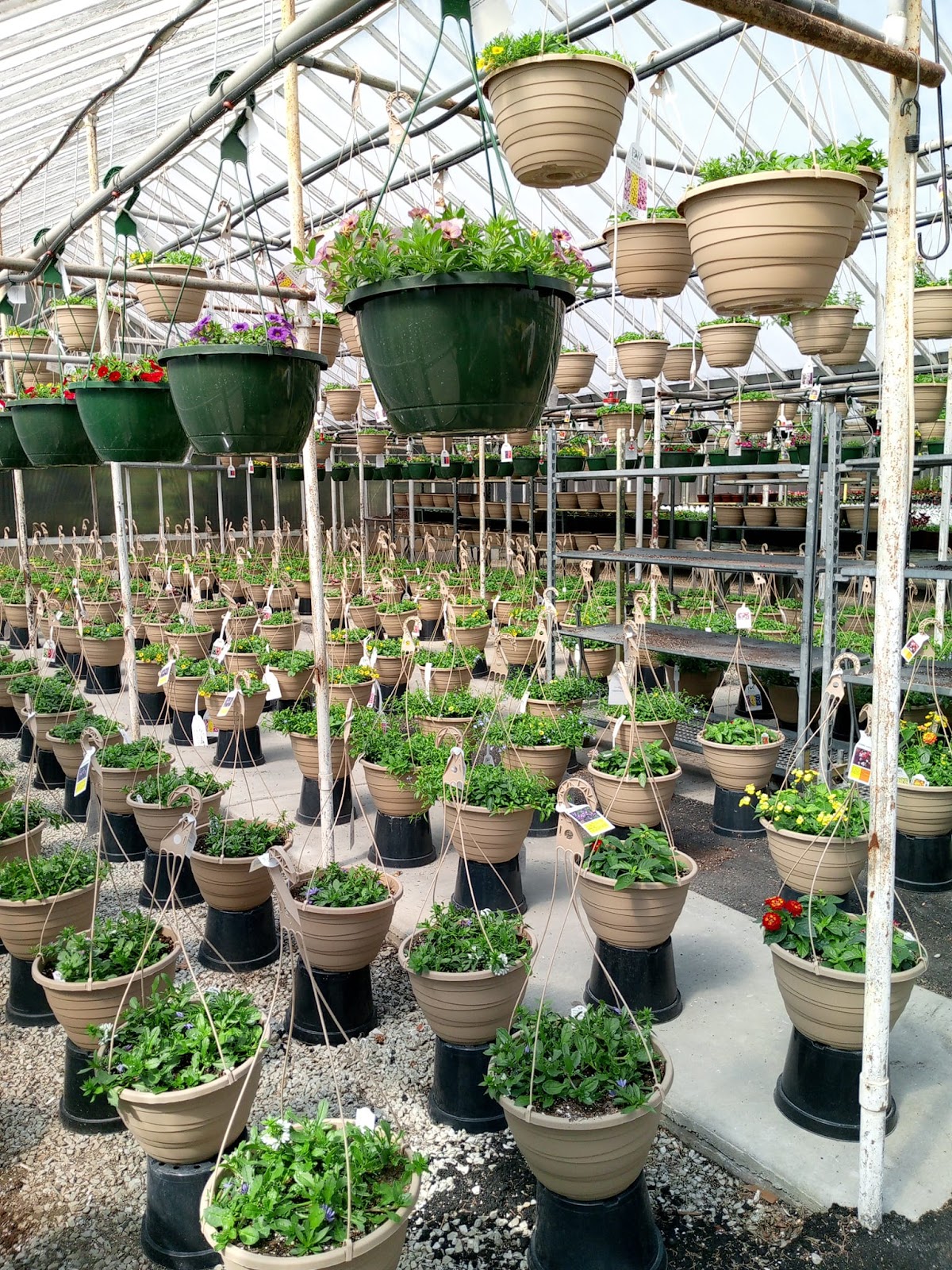 Custom Grown Greenhouses