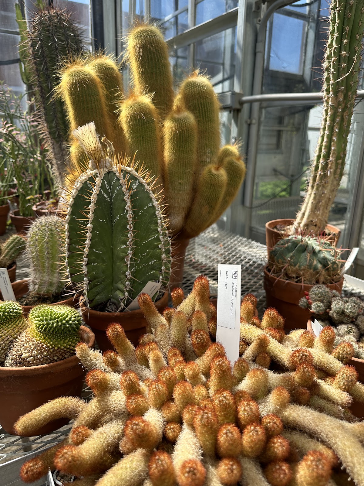 D.C. Smith Green House