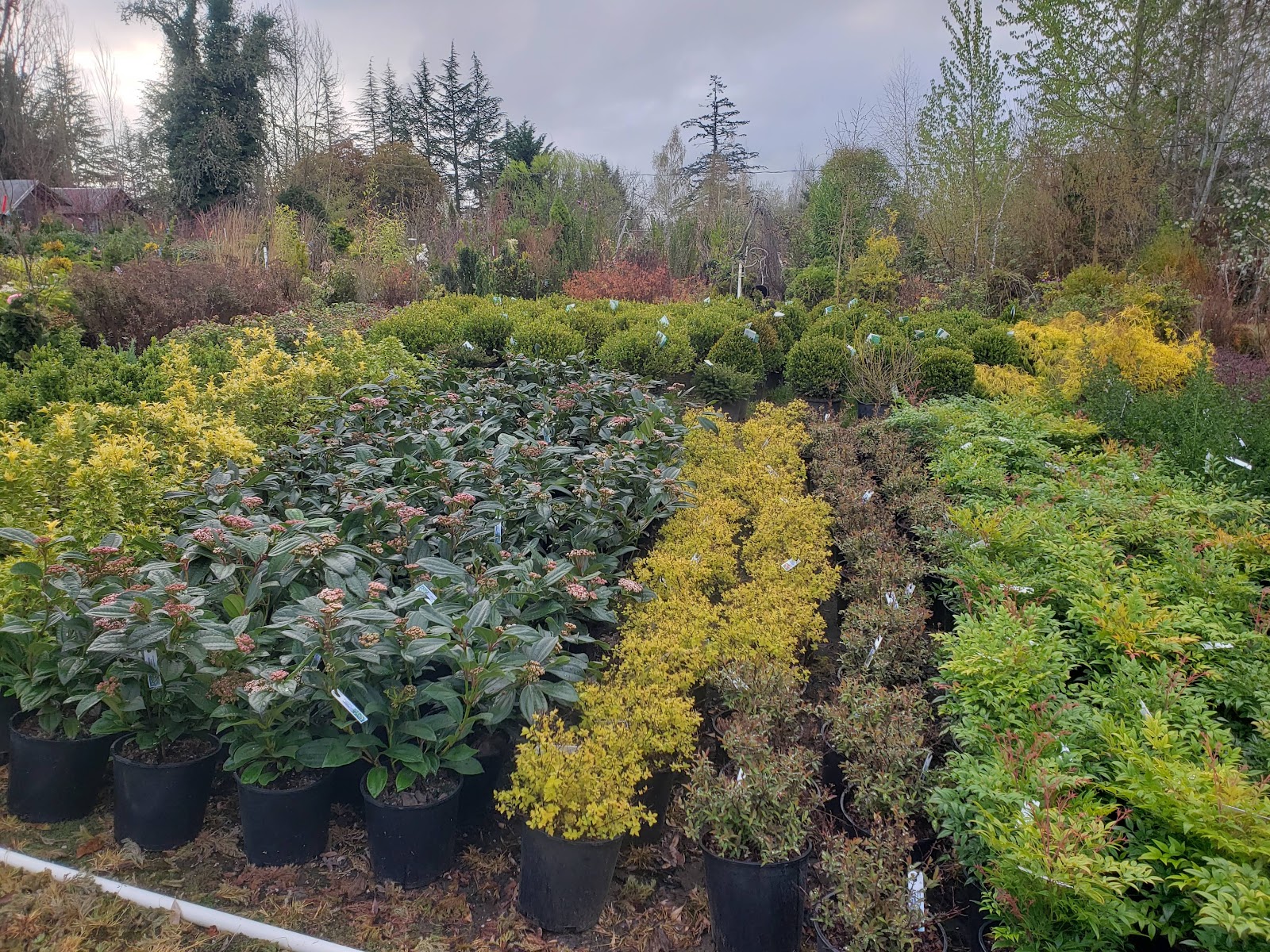 D & J Retail Nurseries