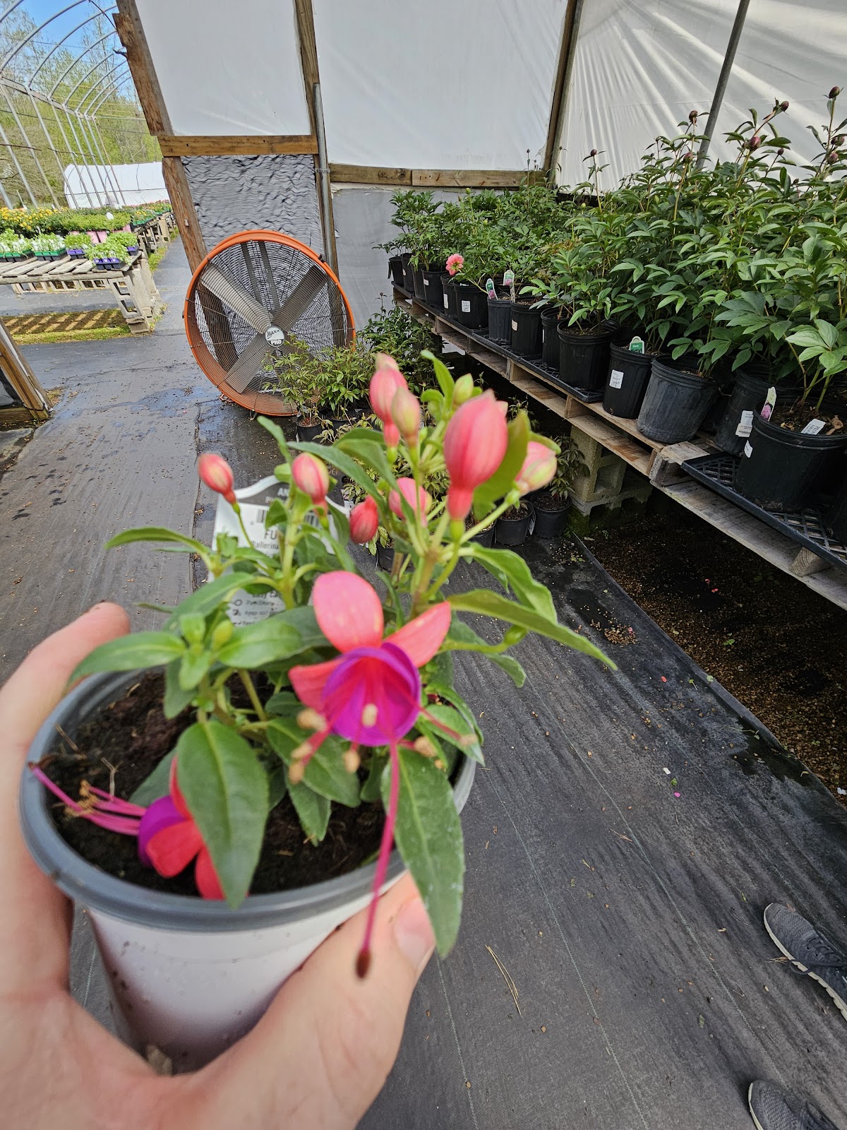 Dan West Garden Center Inc