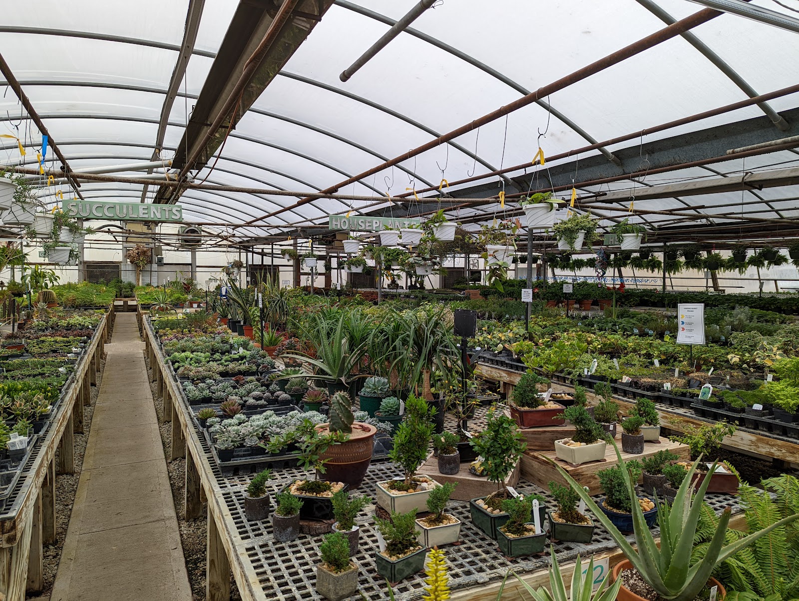 Davidson Greenhouse & Nursery Inc
