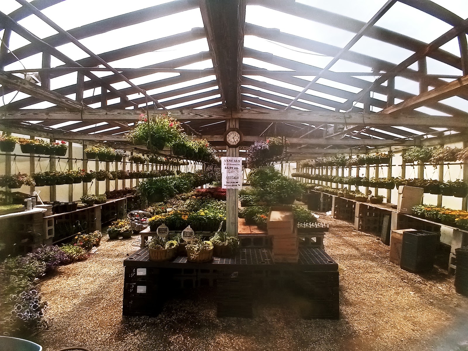 Day's Garden Center