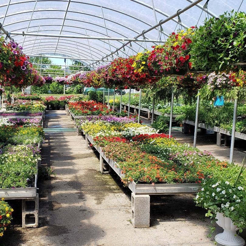Daynabrook Greenhouse