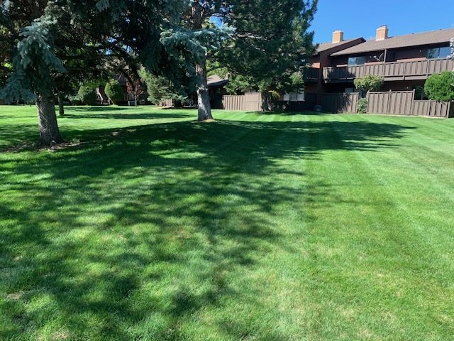 Dayton Valley Turf