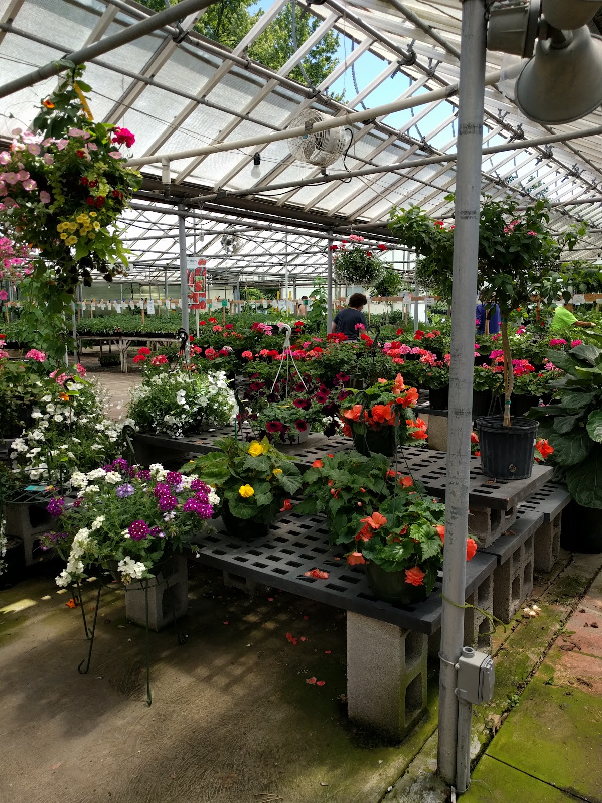 Dean's Greenhouse