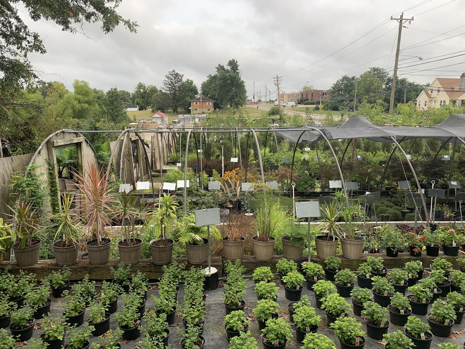 Deaton’s Greenhouse and Nursery