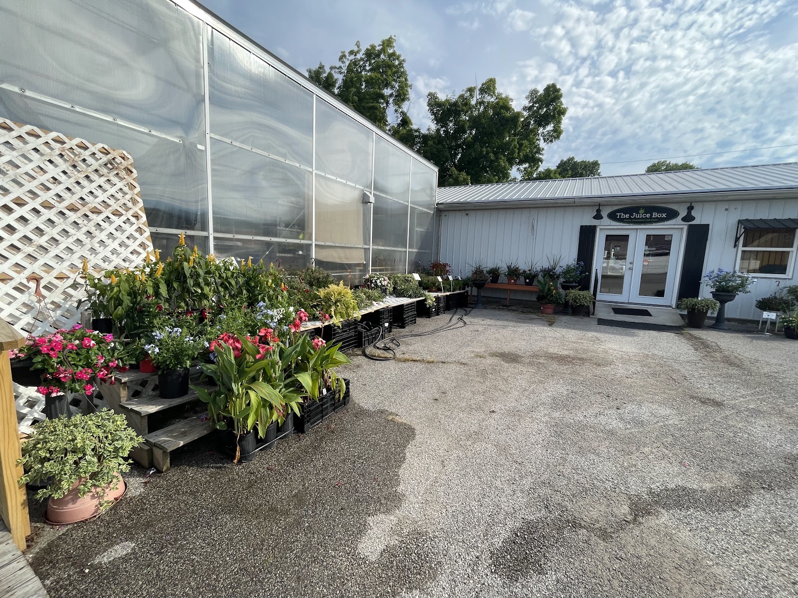 Debbie's Corner