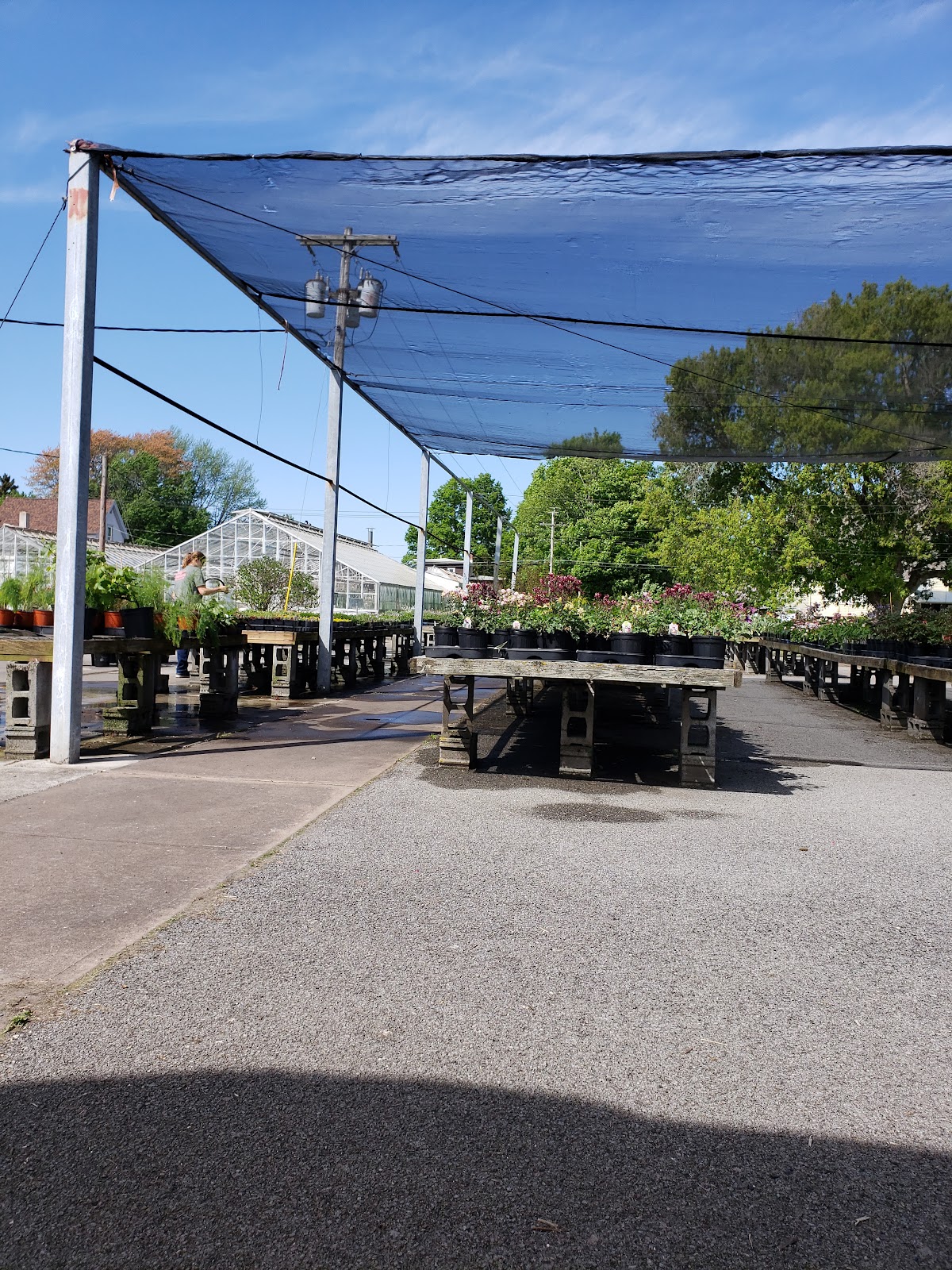 Debrucque Greenhouses