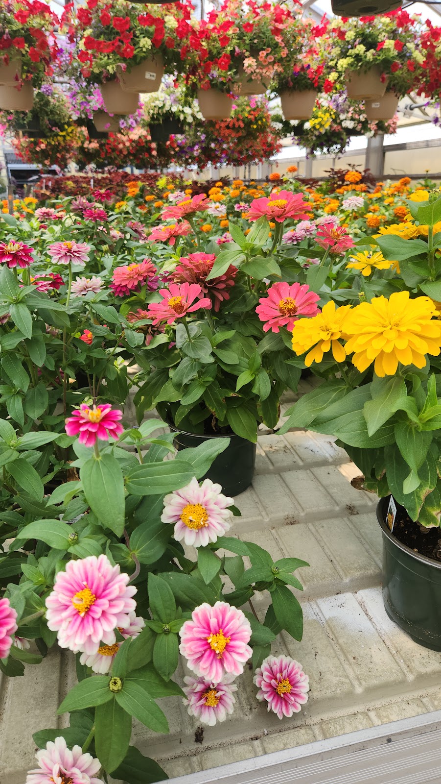 Demers Garden Center Inc.