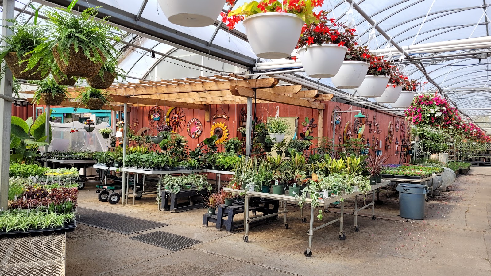 DeMonye's Greenhouse