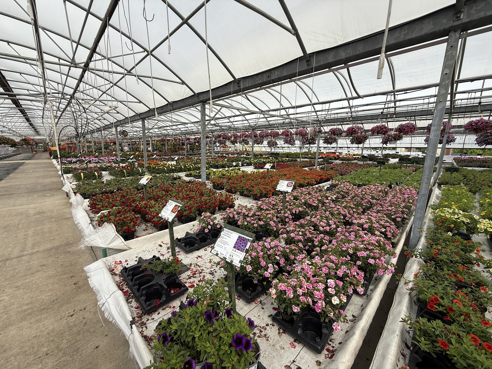 Deneweth's Garden Center