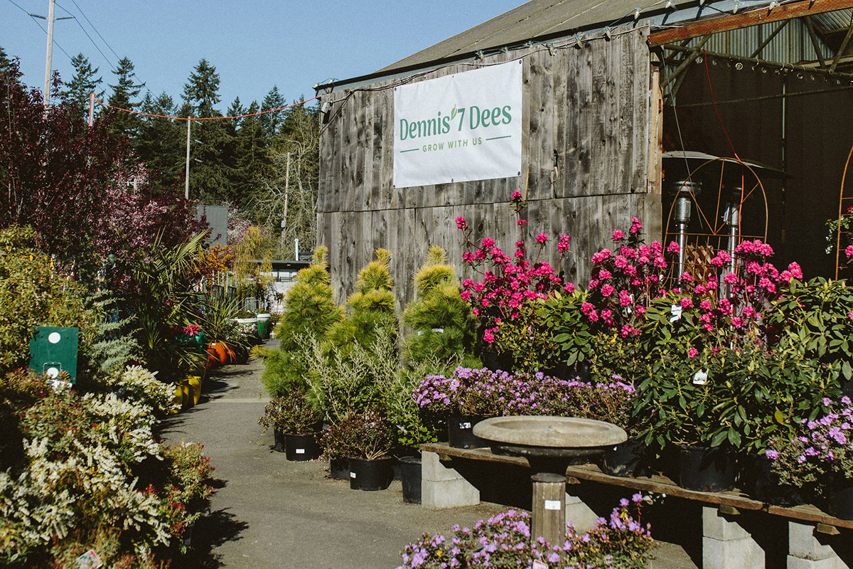 Dennis' 7 Dees Garden Center