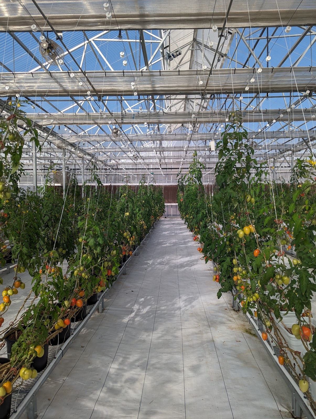 Denver Public Schools Glenbrook Greenhouse