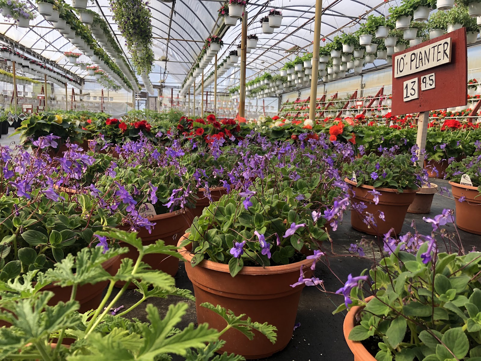 DeRuiter Greenhouse