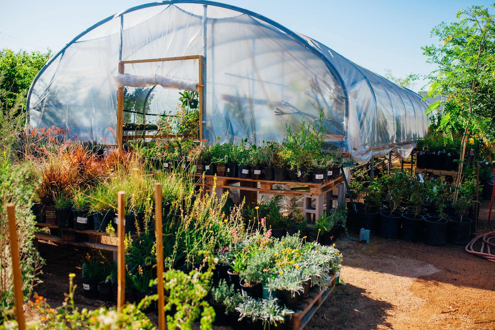Dig It Gardens