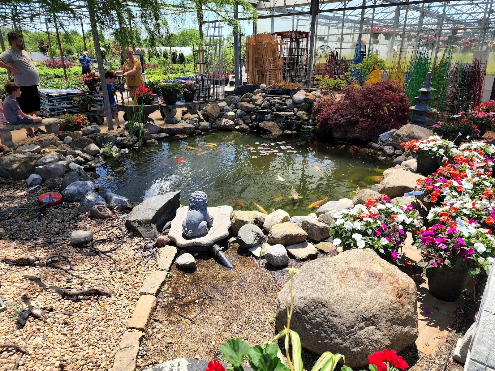 Dill's Greenhouse