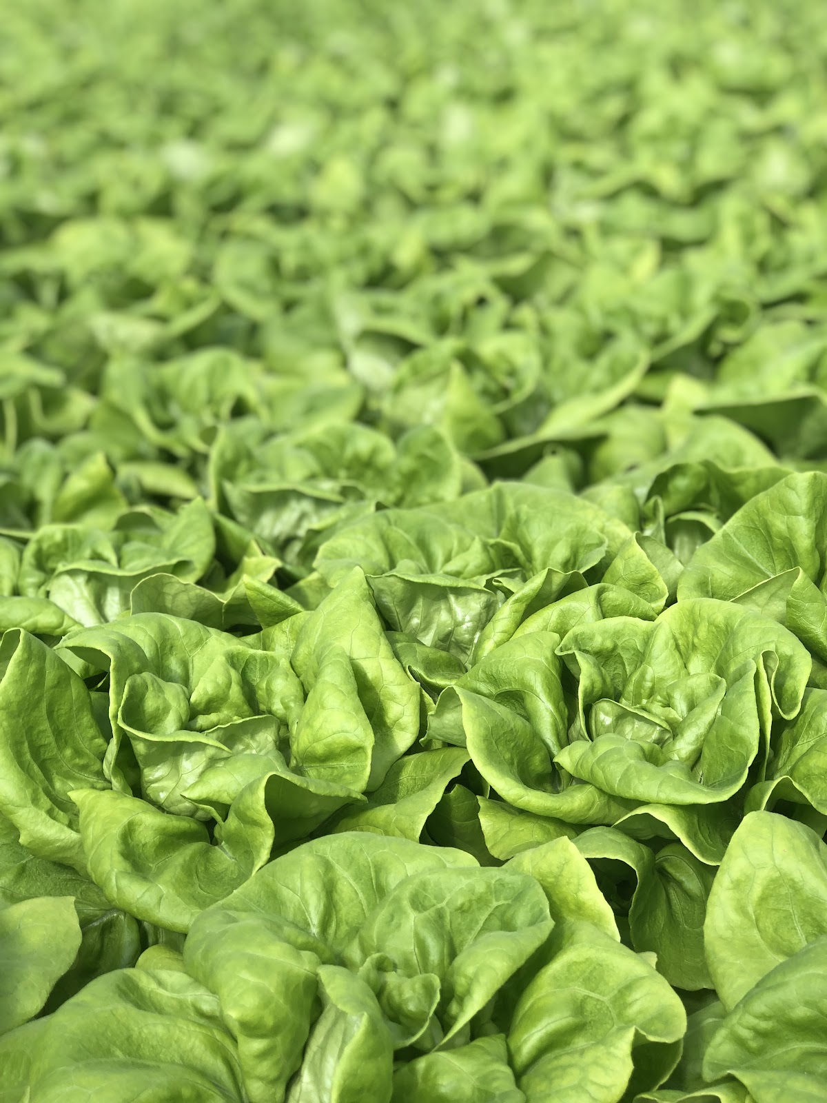 District Farms