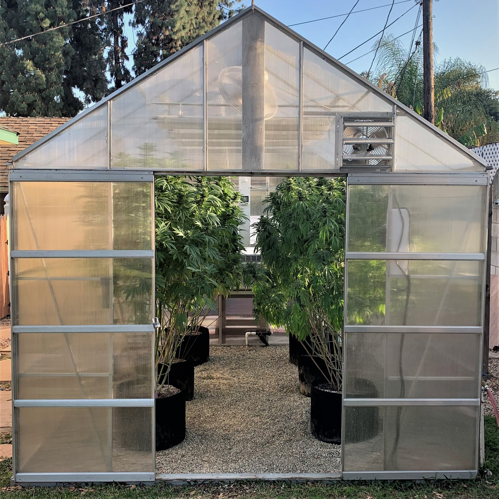Diversified Growing Systems