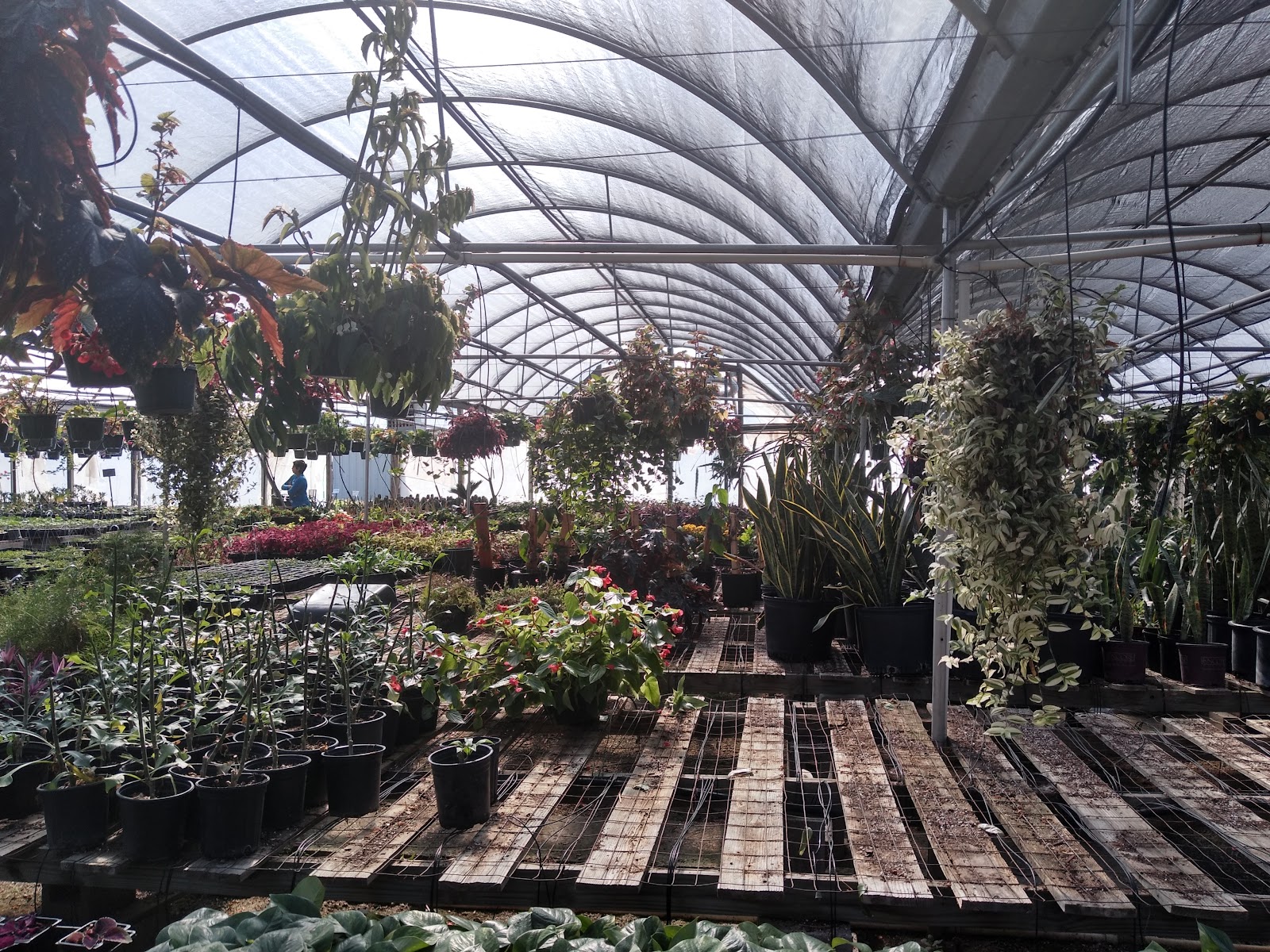 Doan's Nursery Inc