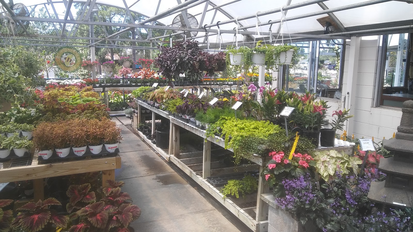 Dolins Garden Center