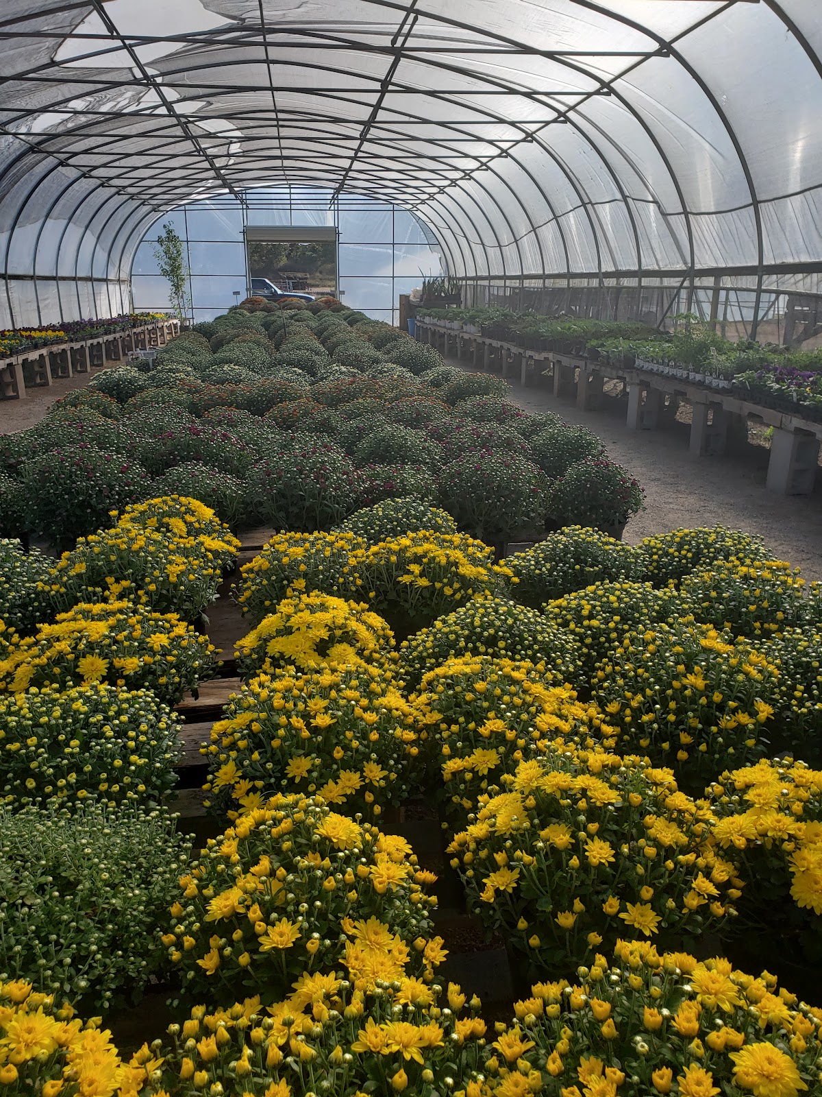 Double R Greenhouse