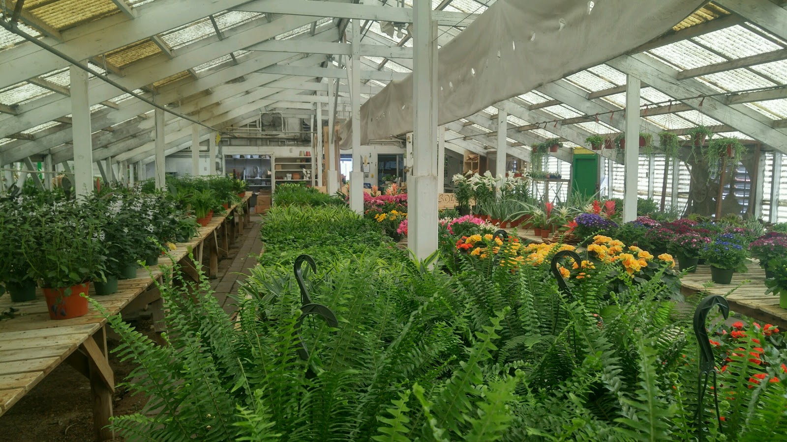 Down's Wholesale Greenhouse