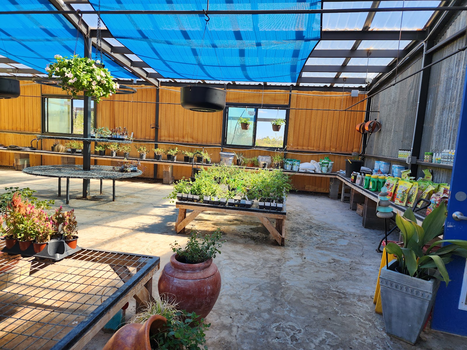 Down to Earth Nursery