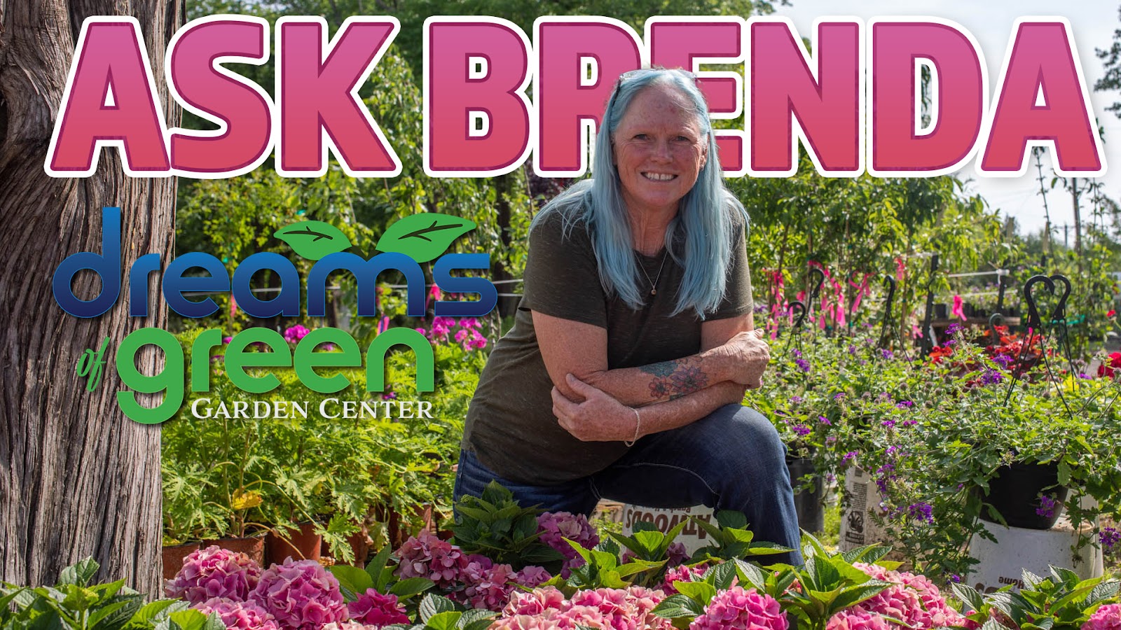 Dreams of Green Garden Center